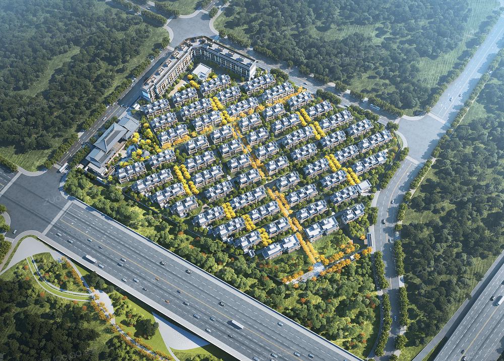 坐标网
